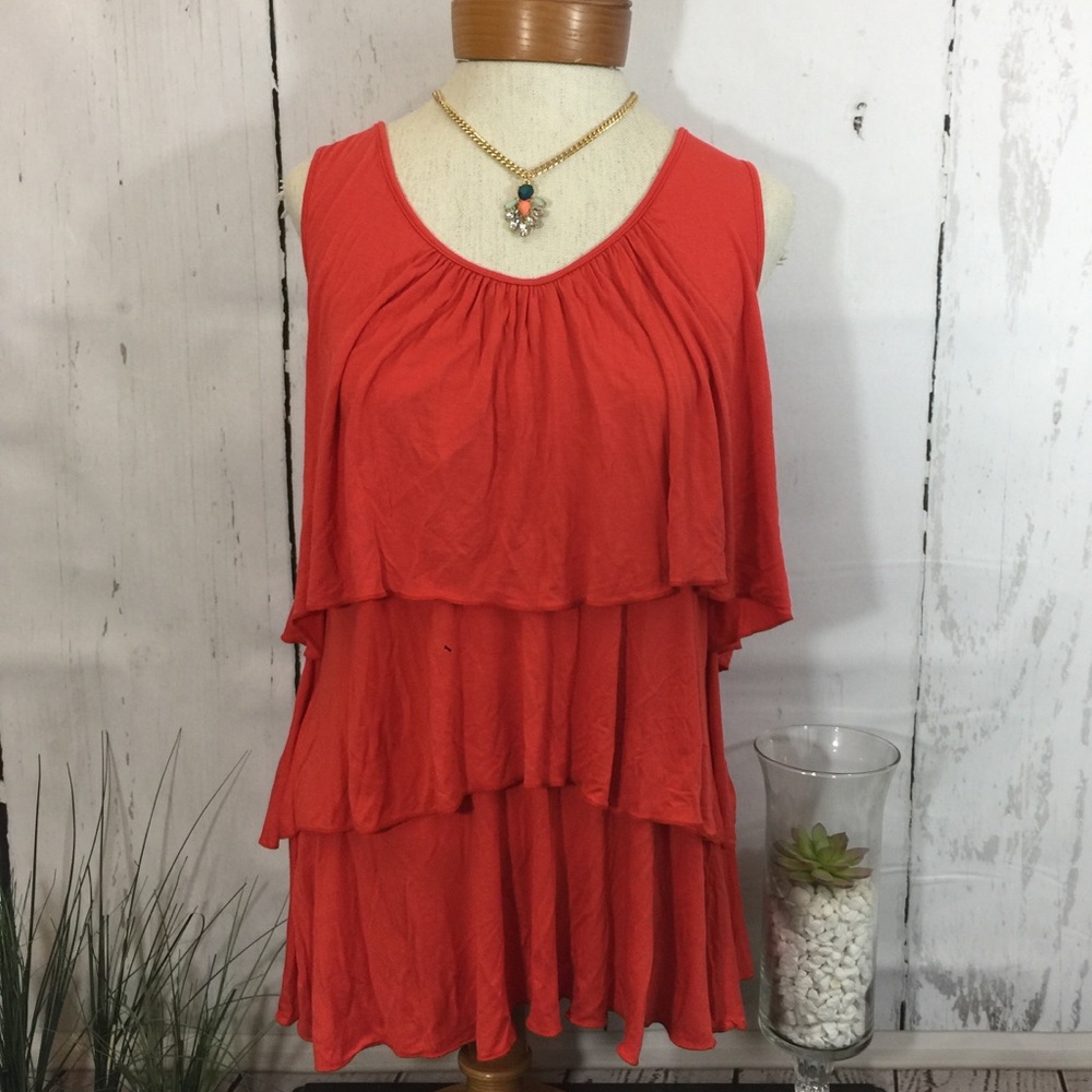 🌼4 for $20 NWT Chelsea and Theodore Ruffle Top
